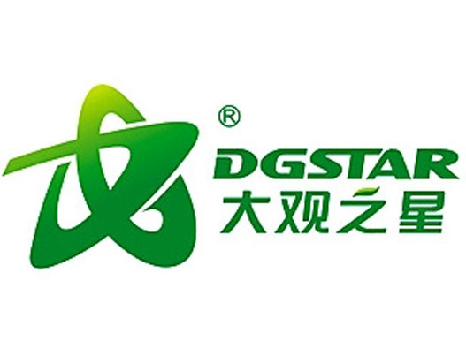 DGLOGO设计-大观之星品牌logo设计
