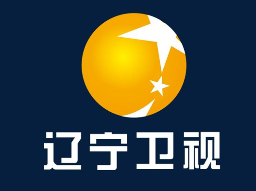 辽宁卫视台logo设计含义及媒体品牌标志设计理念