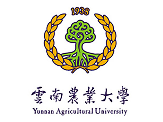 学院logo设计图片