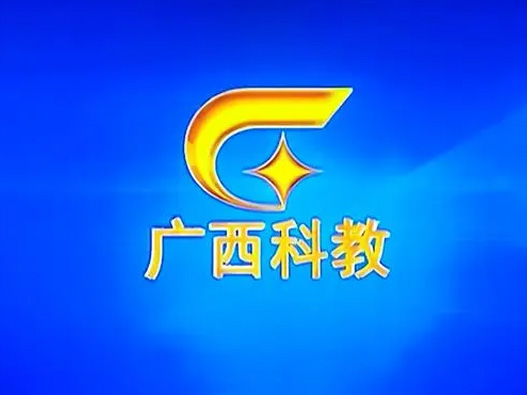 广西卫视台标志图片