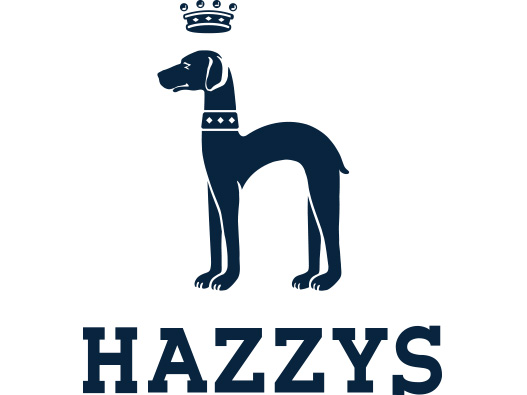 HAZZYS哈吉斯logo设计含义及设计理念