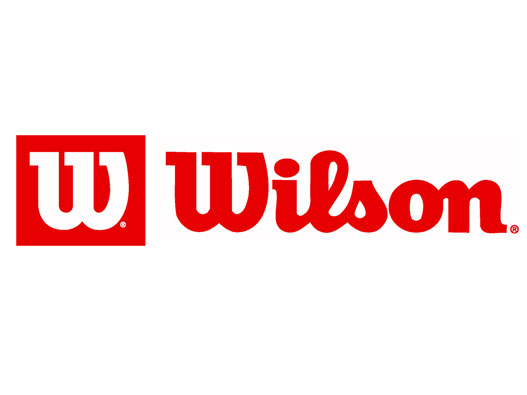 威尔胜logo