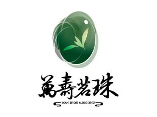 宝石LOGO设计-钻之源品牌logo设计