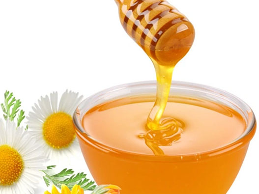 蜂蜜商标注册图片