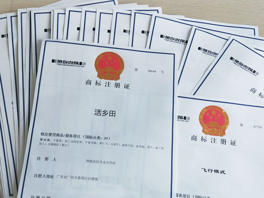 广州海珠区公司商标注册需要办理什么手续？