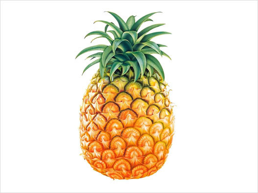 菠萝（凤梨）商标属于第几类-菠萝（凤梨）商标注册属于哪一类？「商标分类」
