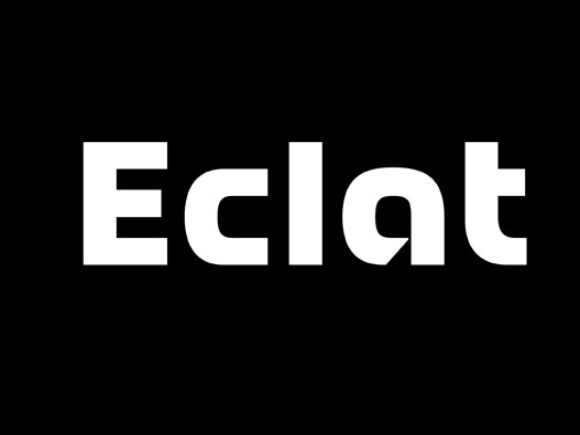 Eclat logo设计-台湾的服装制造商