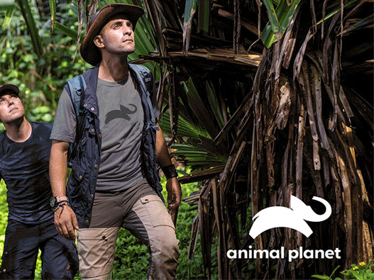 动物星球频道Animal Planet启用新logo