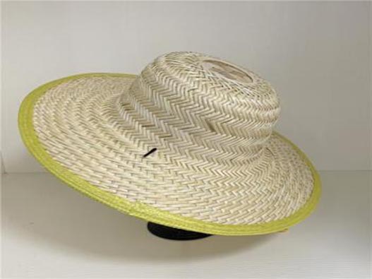 太阳帽商标属于第几类-太阳帽商标注册属于哪一类？「商标分类」