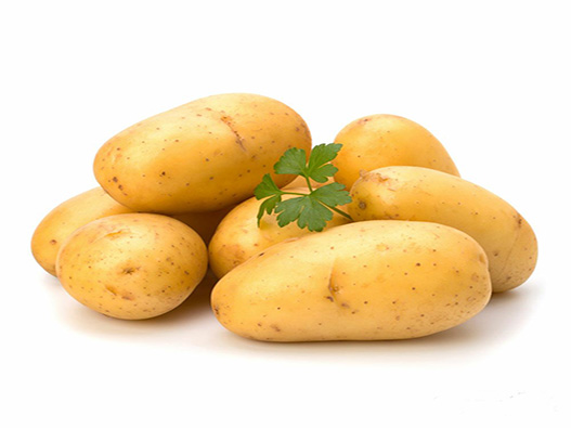 新鲜土豆商标分类