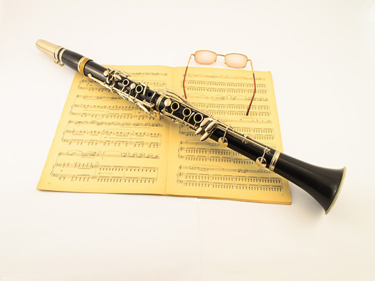 单簧管培训商标分类属于第几类-乐器培训行业商标注册属于哪一类？