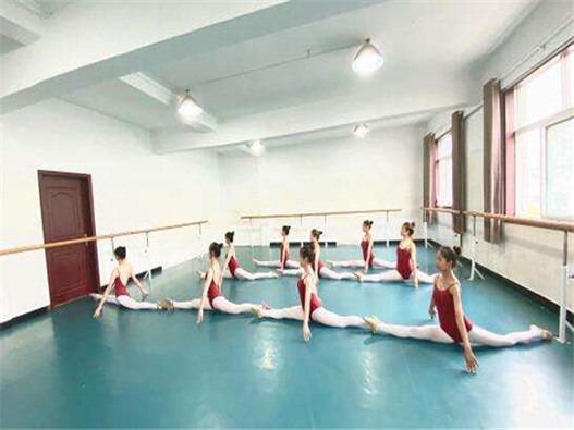 舞蹈培训商标分类属于第几类-舞蹈培训行业商标注册属于哪一类？