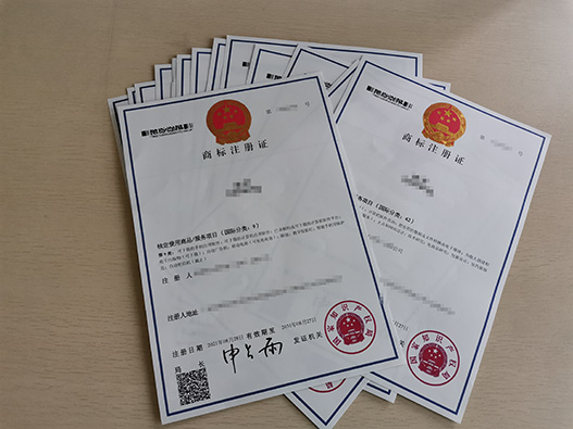 揭秘商标注册受阻：商标因何被拒之门外？