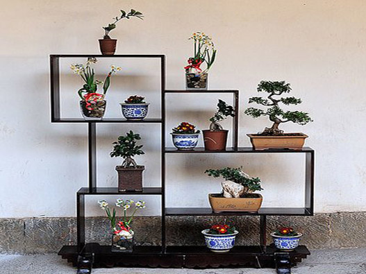 花架商标分类