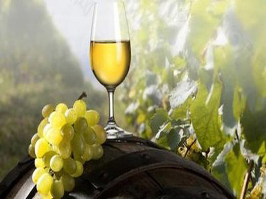 葡萄酒商标分类属于第几类-酒业商标注册属于哪一类？