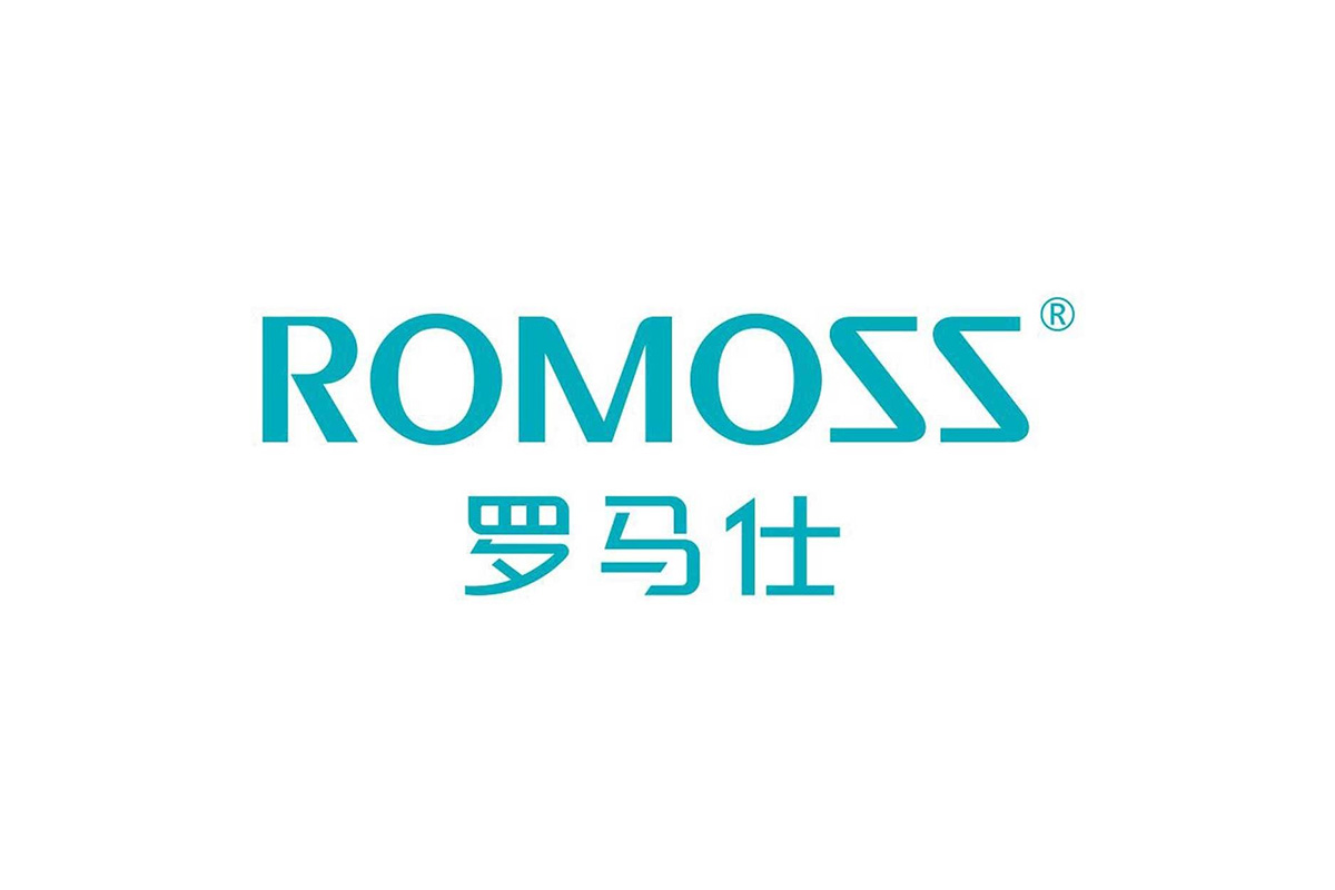 罗马仕充电宝绿色中英文组合logo图片