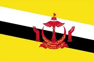 文莱商标注册-东盟国际商标申请流程材料时间有效期全解析