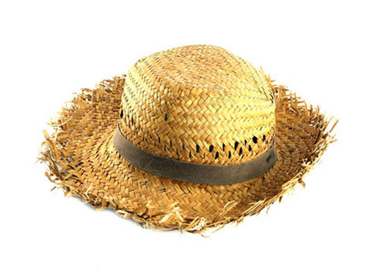 草帽商标分类属于第几类-草帽商标注册属于哪一类？