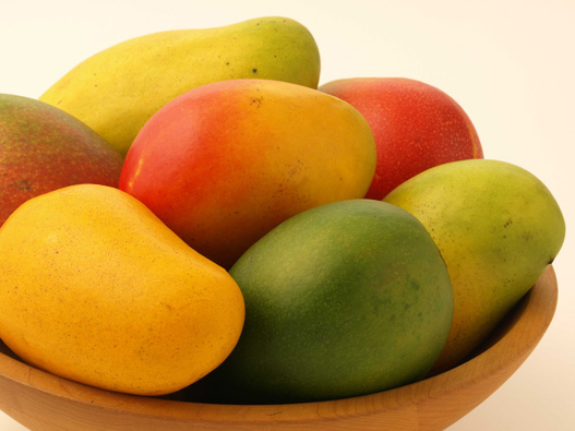 芒果商标分类属于第几类-檬果商标注册属于哪一类？