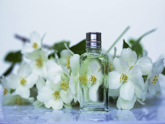 茉莉花香水商标分类属于第几类-茉莉花调香水商标注册属于哪一类？