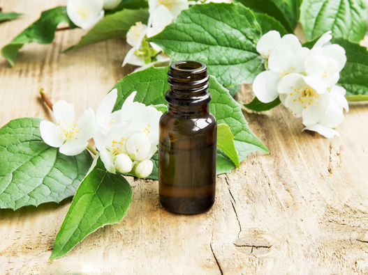 茉莉花油商标分类属于第几类-茉莉花精油商标注册属于哪一类？