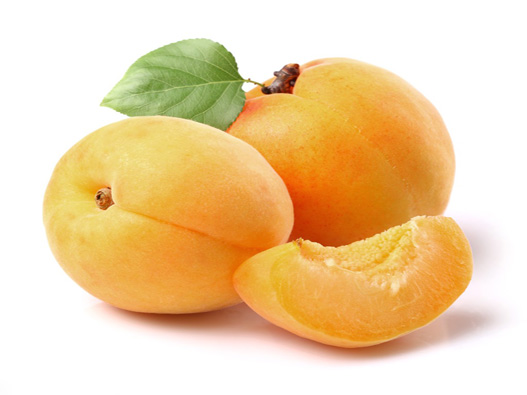 杏商标分类属于第几类-杏子商标注册属于哪一类？
