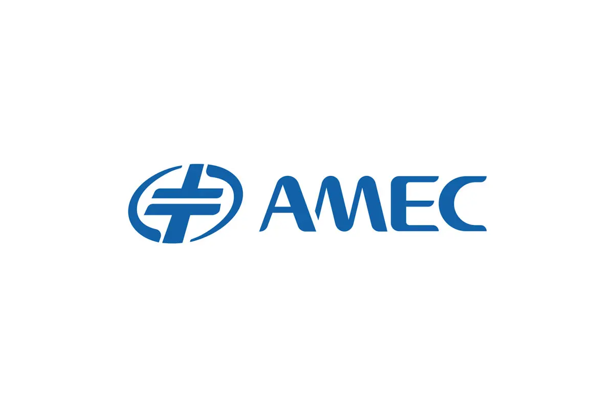 AMEC中微半导体设备logo设计-电容logo设计