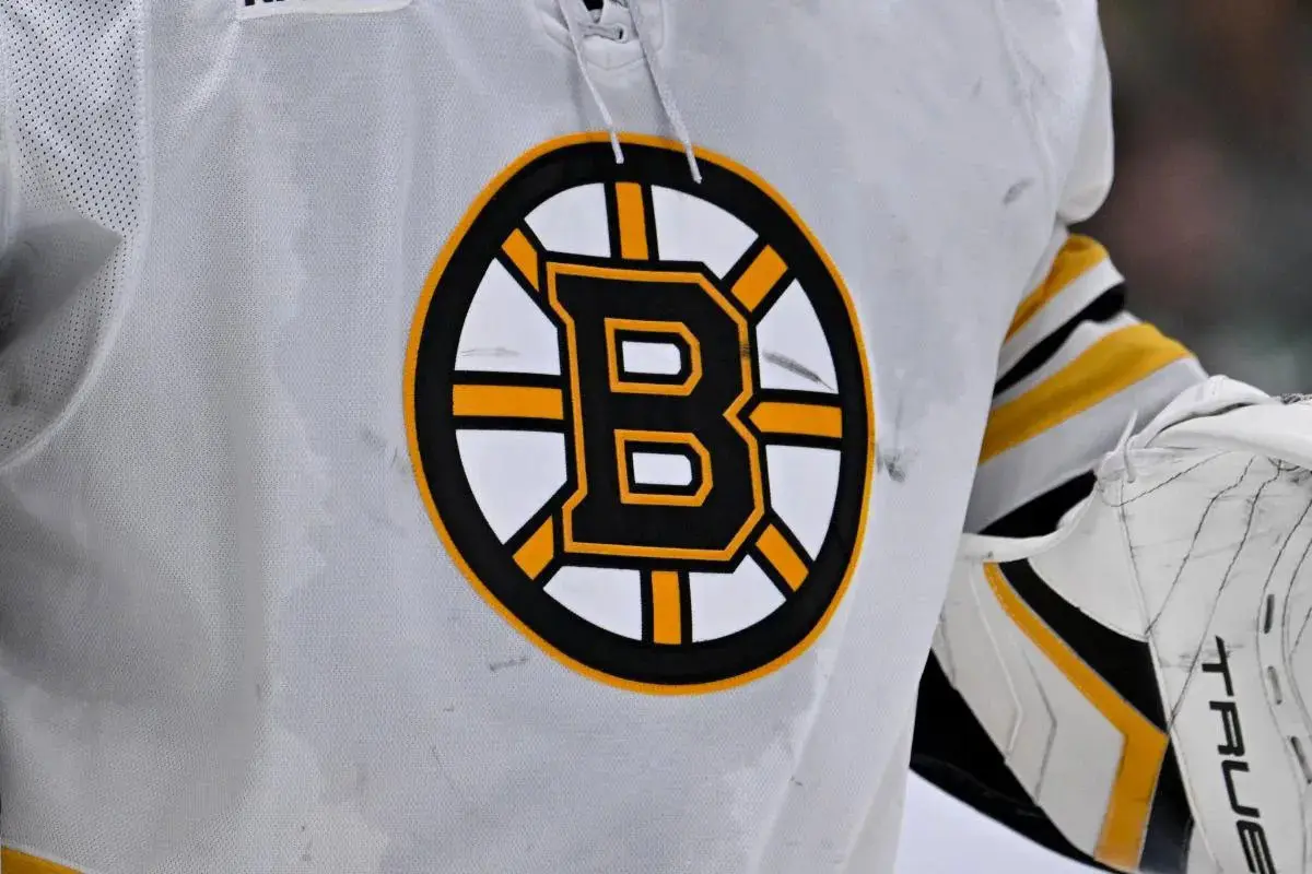 Boston Bruins波士顿棕熊队-辐条标志设计