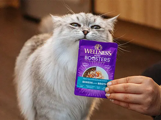 Wellness宠物健康食品logo设计含义及猫狗食品品牌介绍 