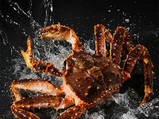 帝王蟹商标注册分类-费用-流程-20年经验代理机构