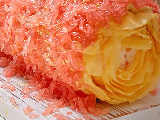 固体杨枝甘露商标注册-类别-费用-流程-20年经验代理机构