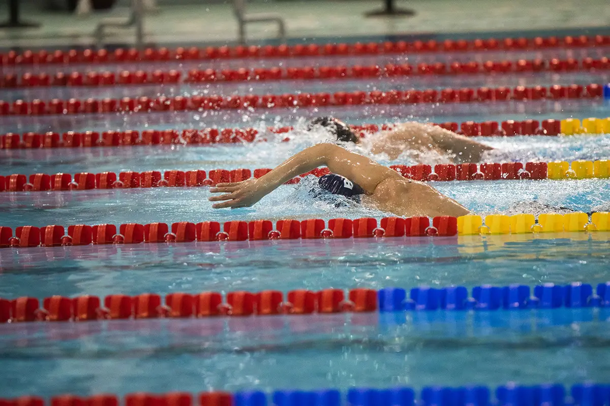 荷兰游泳联合会图片-三文logo设计公司