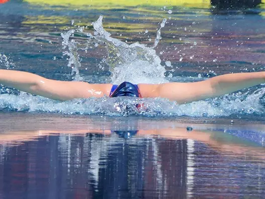 奥地利游泳联合会Austrian Swimming Federation标志设计含义及logo设计理念